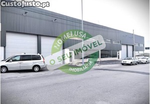 Pavilho Na Zona Industrial Da Palhaa