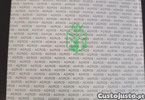 imagem_8