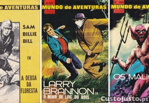 imagem_2
