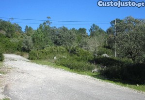 imagem_12