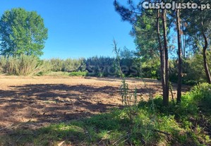 Terreno Para Agricultura Com 6420M2 No Valado...