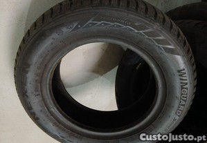 imagem_7