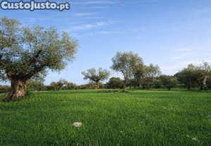 imagem_21
