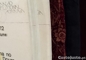 imagem_12