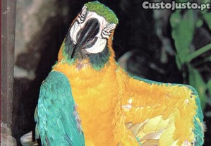 imagem_3