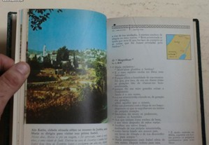 imagem_8