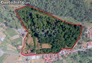 Casa Grande De Farejinhas, Castro Daire