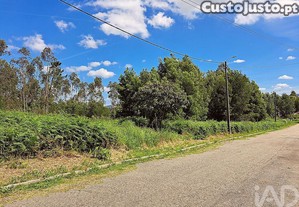Terreno Agrícola em Esmoriz