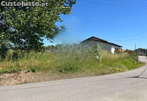 Terreno Rústico Com Viabilidade De Construção...