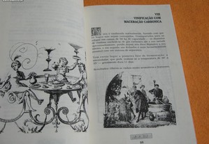 imagem_4