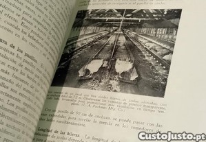 imagem_8