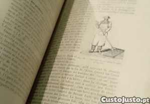 imagem_5