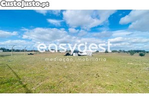 imagem_7