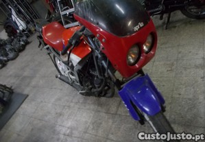 imagem_2
