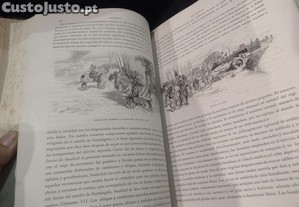 imagem_8