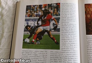 imagem_8