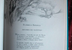 imagem_7