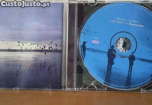 imagem_4