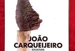 João Carqueijeiro. À Superfície. Escultura e Cerâmica (Pintura e Escultura Portuguesa. Pintores e Escultores Contemporâneos)