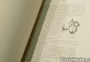 imagem_11