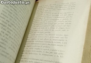 imagem_6