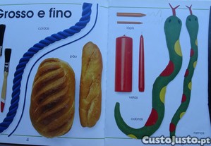 imagem_4