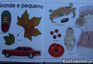 imagem_3