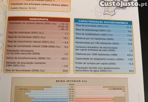 imagem_6