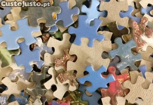 imagem_7