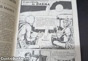 imagem_2