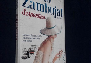 imagem_2