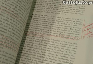 imagem_9
