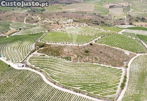 Quinta agrcola em cedovim   vila nova de foz ca