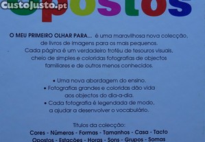 imagem_8