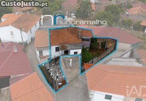 imagem_29