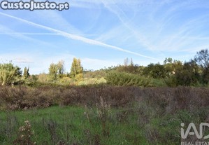 imagem_19