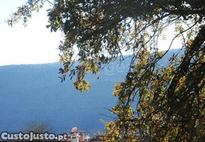 imagem_16