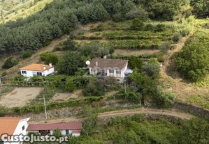 Moradia T4 Com Dois Terrenos E Pomar Variado,...