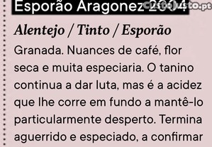imagem_2