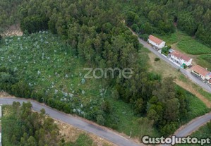 Terreno Para Construção, Com 3.708 M2 - Grijó,...