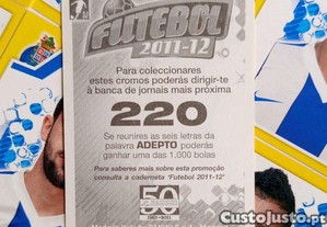 imagem_2