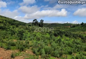 Terreno Rústico De 3 Hectares - Mexilhoeira...