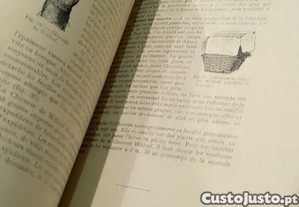 imagem_8