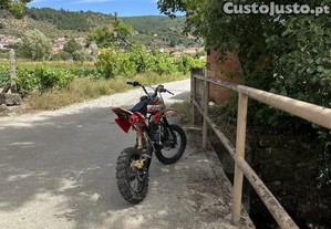 pite-bike 110 cm3 cross