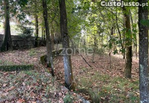 Terreno Com 10 000M2 Em, Sanfins, Paços De...