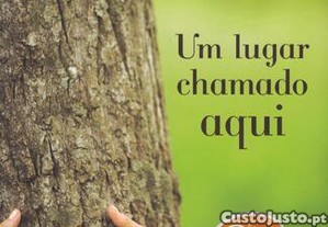 imagem_1
