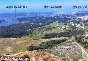 imagem_17