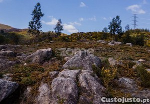 Terreno Versátil De 12.000M² Em Ruivães, Vieira...