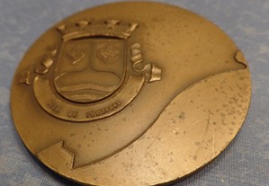 Medalha Comemorativa Elevação de Fânzeres a Vila (895)