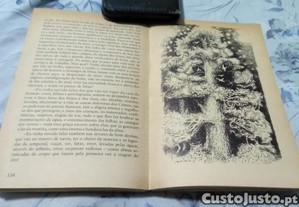 imagem_7